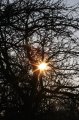 Winter 12.01.09 056